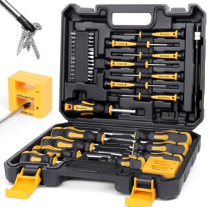 Amartisan 43-Piece Magnetic Screwdriver Set with Case